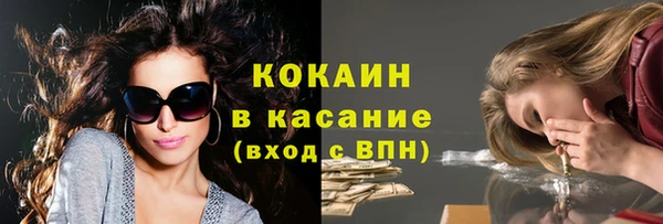 молекула духа Арсеньев