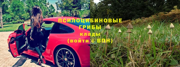 ПСИЛОЦИБИНОВЫЕ ГРИБЫ Армянск