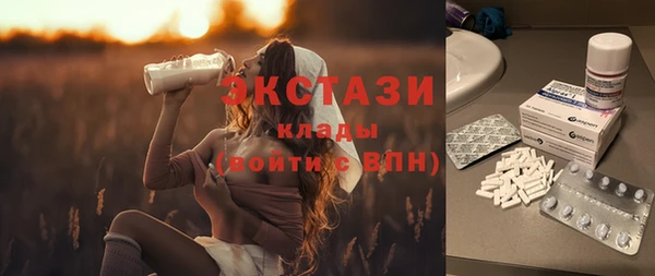 молекула духа Арсеньев