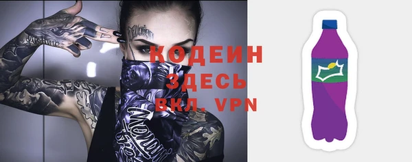 молекула духа Арсеньев