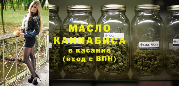 молекула духа Арсеньев