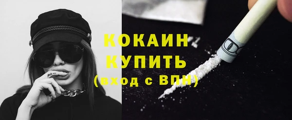 молекула духа Арсеньев